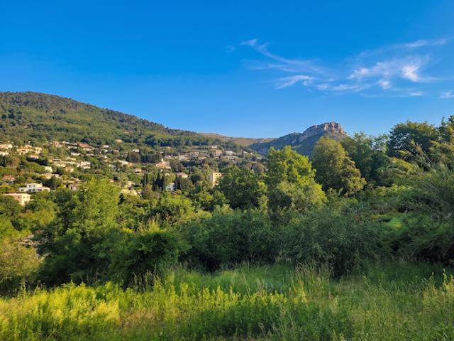 Vente Terrain 955 m2 Vence