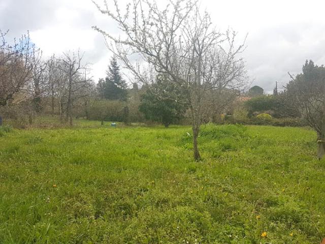 Vente Terrain 955 m2 Villeneuve Tolosane
