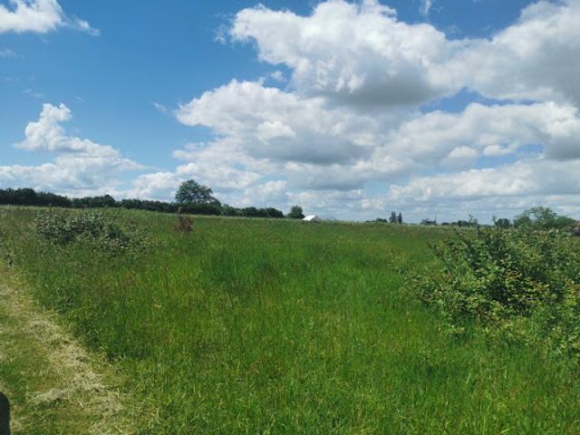 Vente Terrain 955 m2 Saint Pardon de Conques