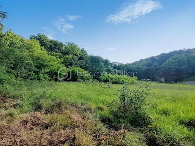 Vente Terrain 9588 m2 Lembras