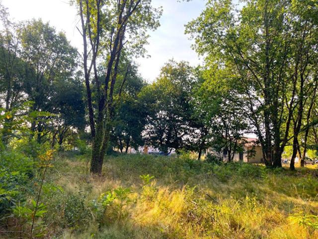 Vente Terrain 958 m2 Morcenx la Nouvelle