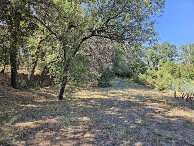 Vente Terrain 960 m2 Roquebrune sur Argens