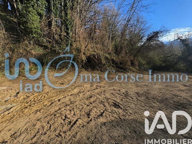Vente Terrain 967 m2 Bastelica