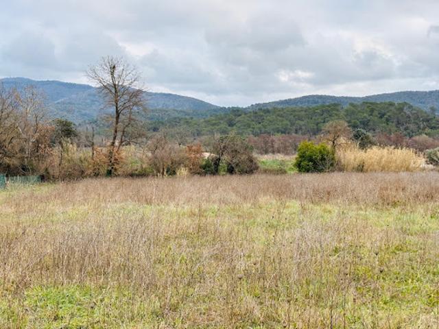 Vente Terrain 967 m2 Pignans