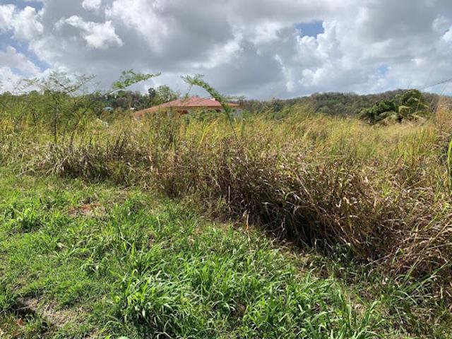 Vente Terrain 965 m2 Riviere salee
