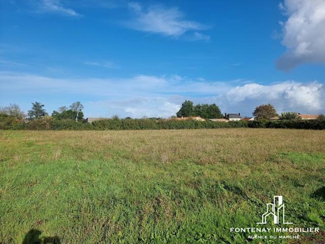 Vente Terrain 968 m2 Petosse