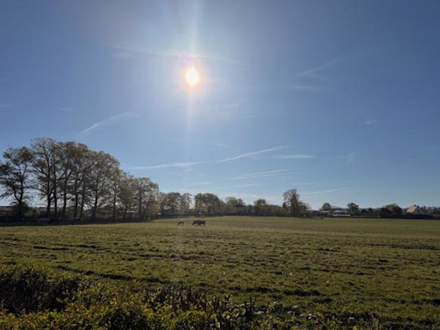 Vente Terrain 970 m2 Ytrac