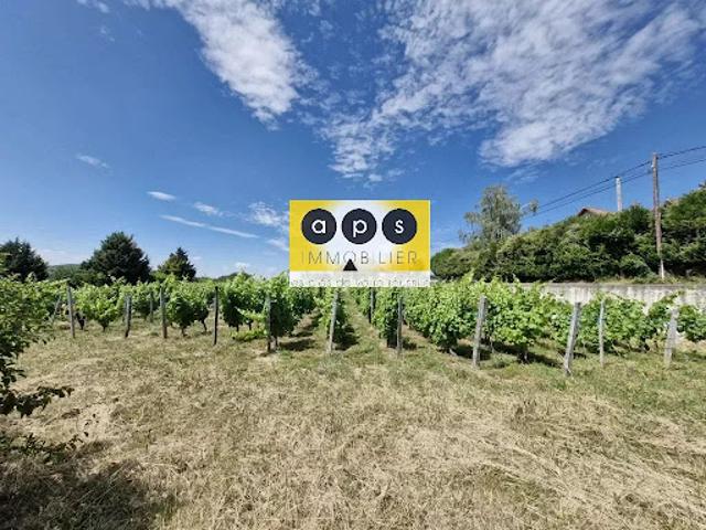 Vente Terrain 970 m2 Arbois