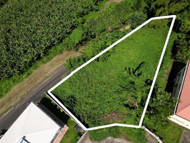 Vente Terrain 970 m2 Basse pointe