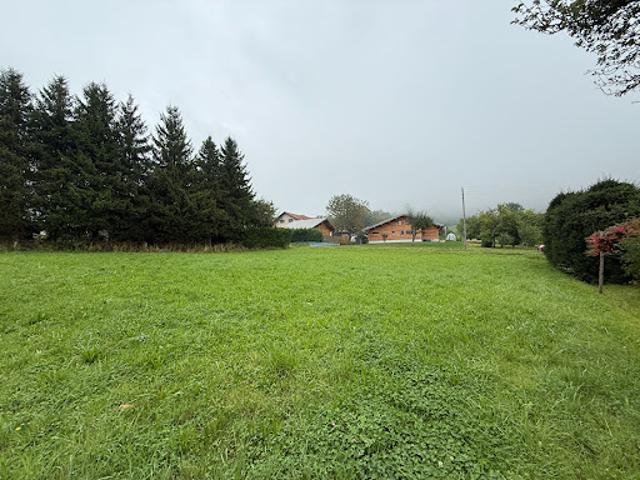 Vente Terrain 970 m2 Bernex