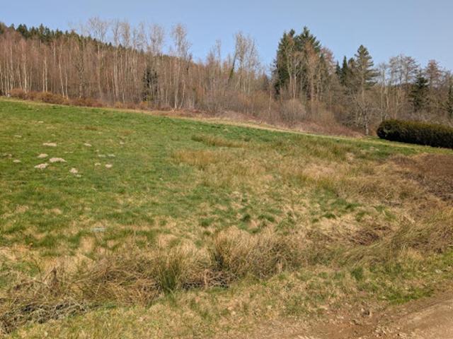 Vente Terrain 970 m2 Cleurie