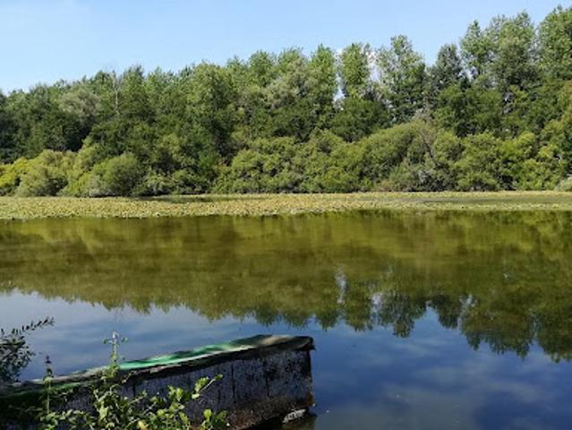 Vente Terrain 97242 m2 Harly