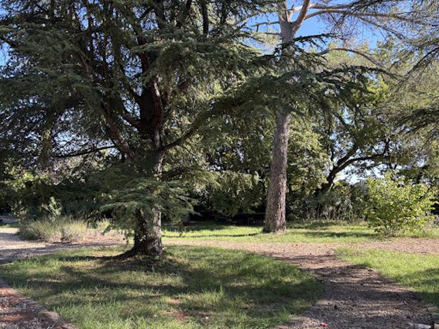 Vente Terrain 972 m2 Alleins