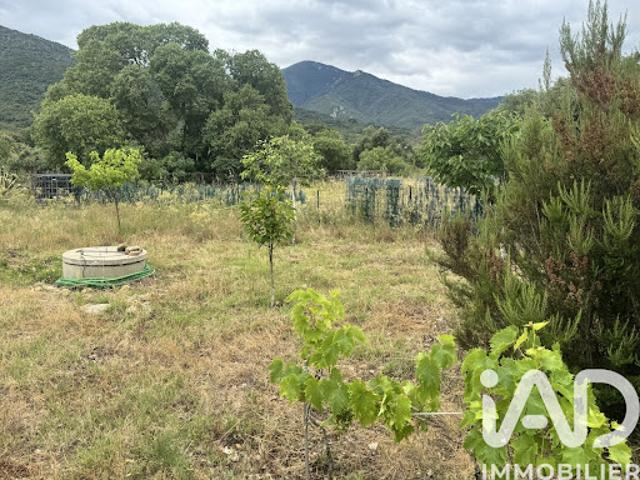 Vente Terrain 975 m2 Sorède