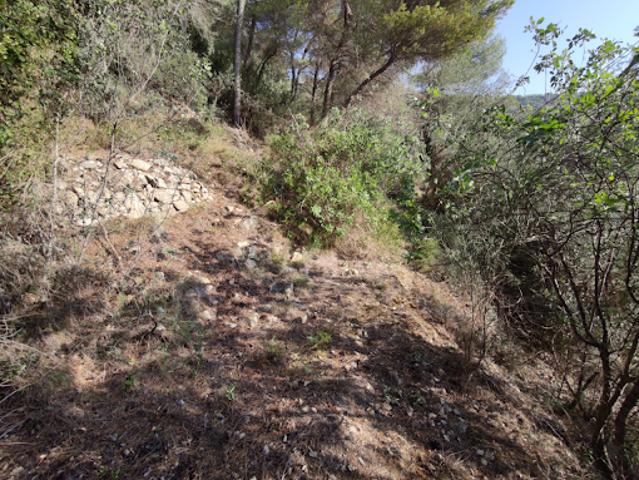 Vente Terrain 9760 m2 Cantaron