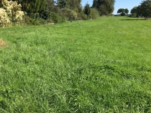 Vente Terrain 978 m2 Chavannes sur l'Etang