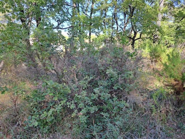 Vente Terrain 980 m2 Gréasque