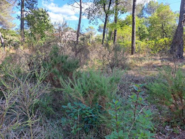 Vente Terrain 980 m2 Gréasque