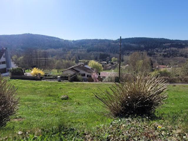 Vente Terrain 980 m2 Moyenmoutier