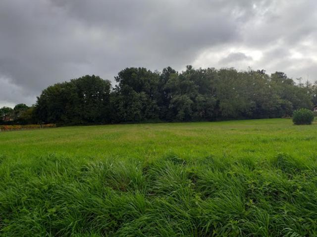 Vente Terrain 981 m2 Sadirac