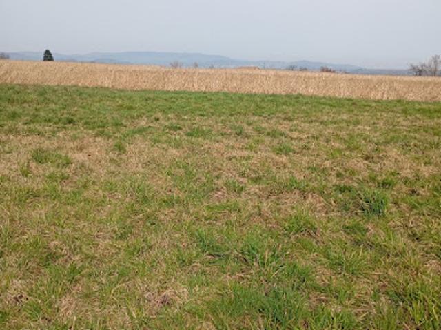 Vente Terrain 987 m2 Saint Vallier