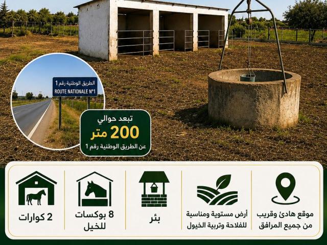 Vente terrain 9853 m² à Casablanca
