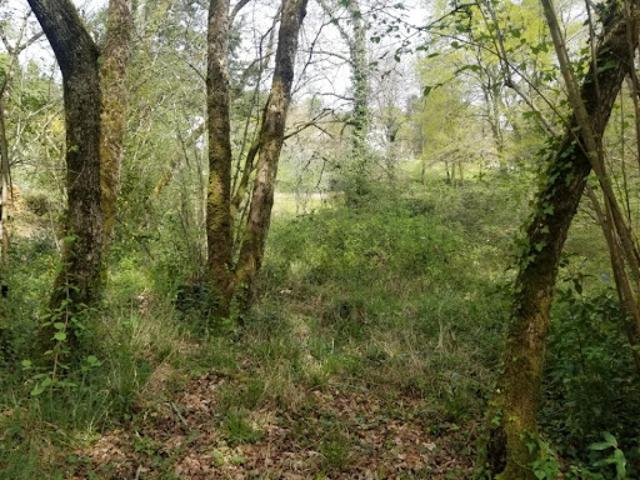 Vente Terrain 985 m2 Salleboeuf