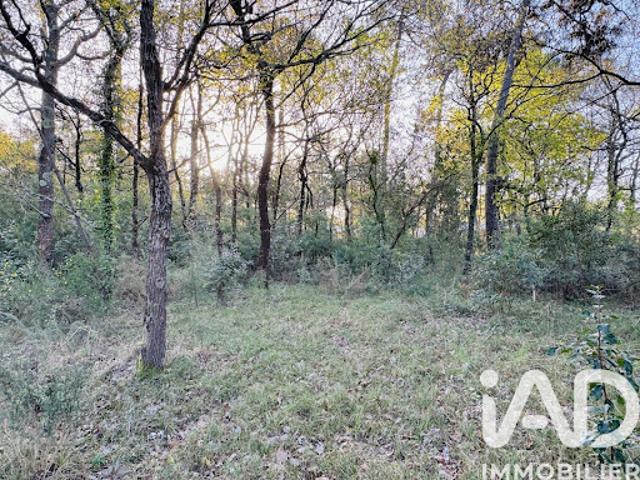 Vente Terrain 985 m2 Soulac sur Mer