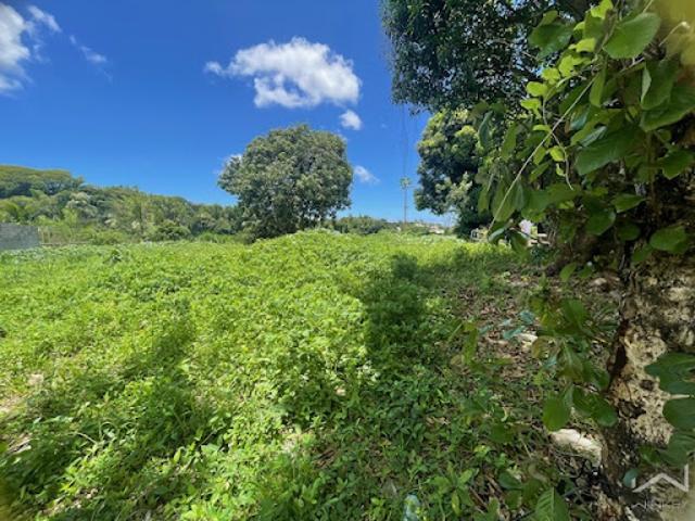 Vente Terrain 989 m2 Bras panon