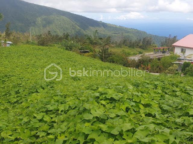 Vente Terrain 993 m2 Saint joseph