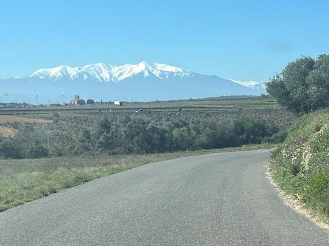 Vente Terrain 9900 m2 Baixas