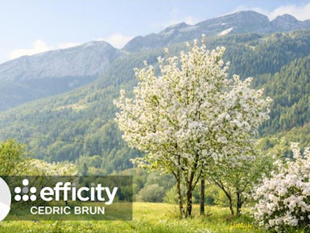 Vente Terrain 990 m2 Brizon