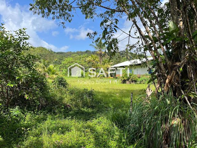Vente Terrain 9913 m2 Roura