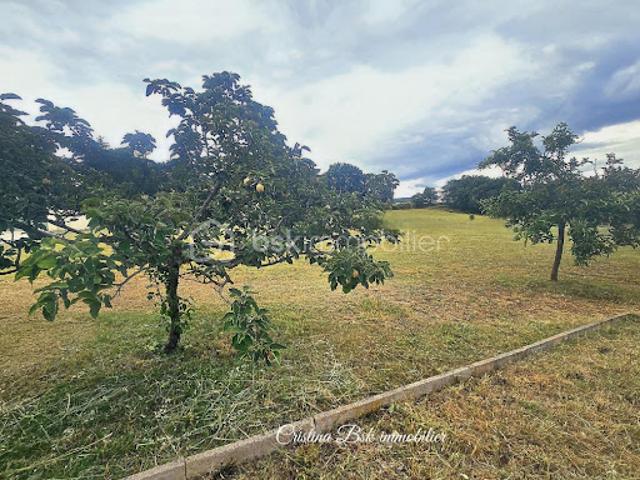 Vente Terrain 997 m2 Digne les Bains