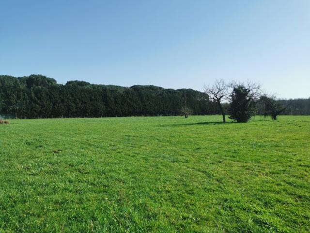 Vente Terrain 995 m2 Coimères
