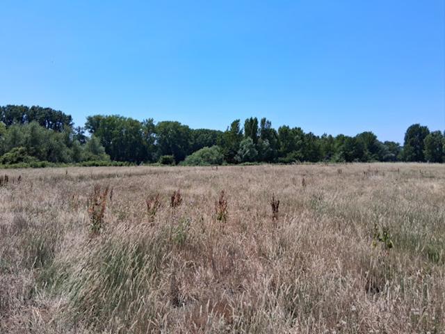 Vente Terrain 999 m2 Creysse