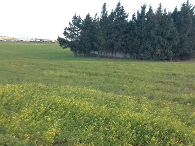 Vente terrain 90000 m² à Tanger