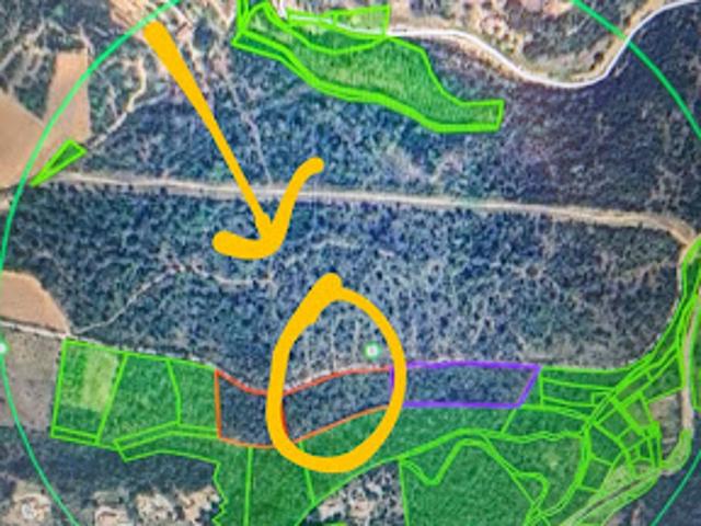 Vente Terrain 9000 m2 Lorgues