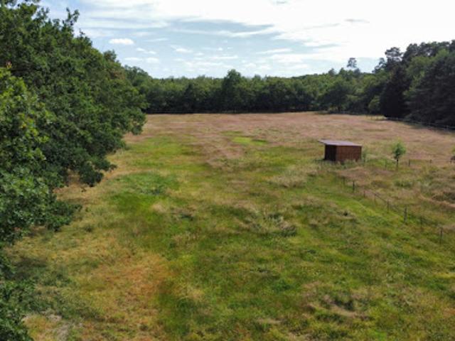 Vente Terrain 9000 m2 Villefranche sur Cher