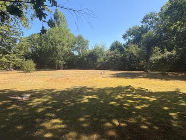 Vente Terrain 900 m2 Biscarrosse