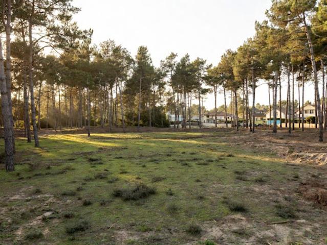 Vente Terrain 900 m2 Bouliac