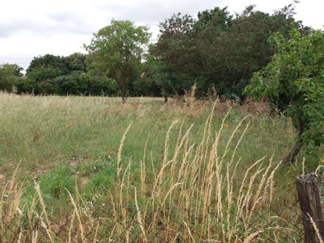 Vente Terrain 900 m2 Pibrac