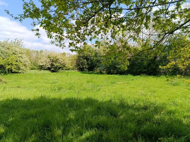 Vente Terrain 900 m2 Saint Symphorien