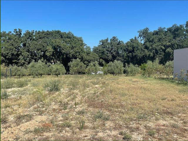 Vente Terrain 900 m2 Saze