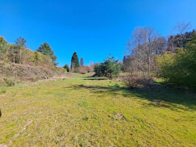 Vente Terrain 900 m² à Les Forges 74 000 ¤