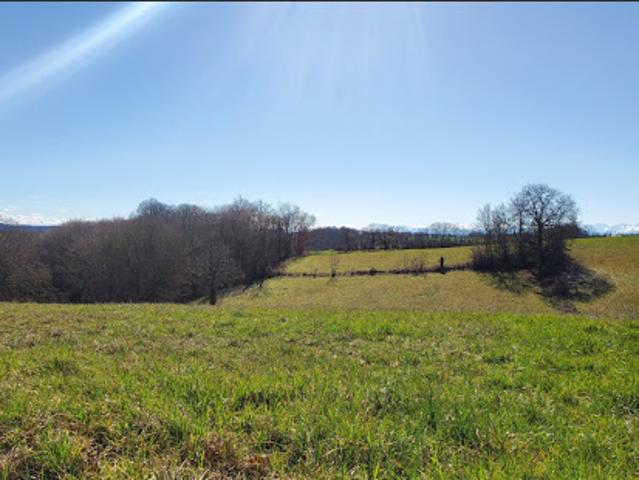 Vente Terrain 9010 m2 Marciac