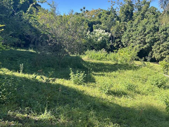 Vente Terrain 901 m2 Le tampon
