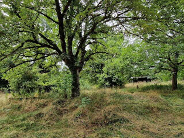 Vente Terrain 9040 m2 Trept