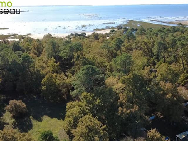 Vente Terrain 909 m2 Lanton