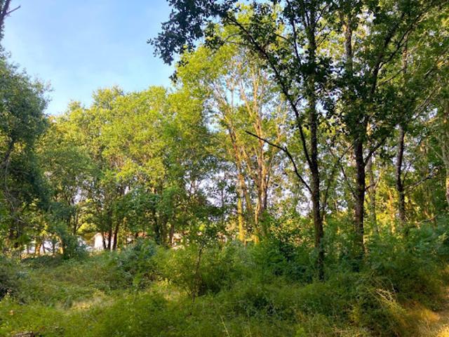 Vente Terrain 913 m2 Morcenx la Nouvelle